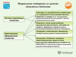 Как получить деньги на развитие лпх от государства