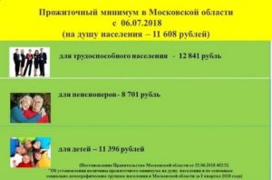 Прожиточный минимум ребенка в московской области в 2021