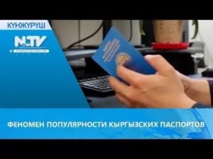 Получить гражданство рф гражданину киргизии в 2021 году