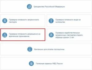 Проверка документов на гражданство рф челябинск