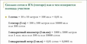 Сколько в 1 сотке м2