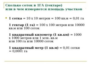 Сколько в 1 сотке м2