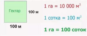 Сколько в 1 сотке м2