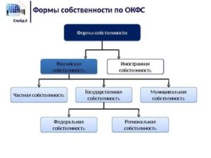 Собственность иностранных юридических лиц окфс