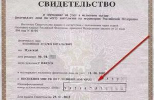 Регистрационный номер налогоплательщика в россии