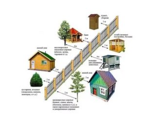 Нормы строительства хозяйственных построек от соседей