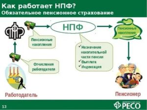 Как Проверить Пенсионные Отчисления Работодателя В Пенсионный Фонд