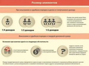 Если Нет Официального Дохода Как Платить Алименты