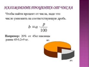 Как рассчитать долю в процентах от общего числа