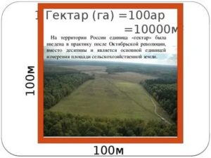 5 гектаров или 5 гектар